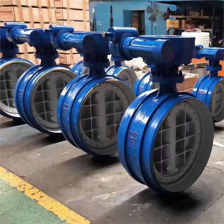 Bi-Directional Butterfly Valve